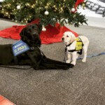 490413557_10213990434351097_4278977574052434583_n