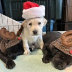 589071905_10172916885310367_4518854064301121545_n